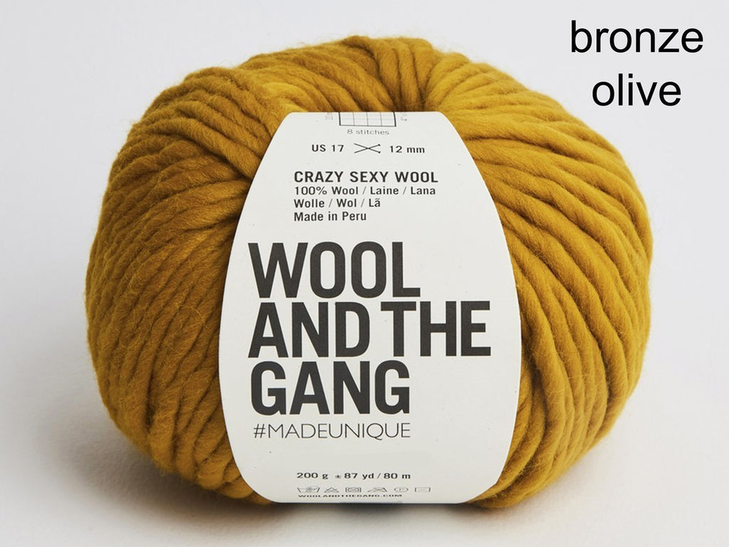 Wool and the Gang Crazy Sexy Wool