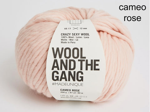 Wool and the Gang Crazy Sexy Wool