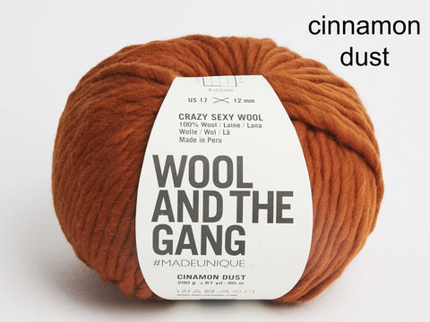 Wool and the Gang Crazy Sexy Wool