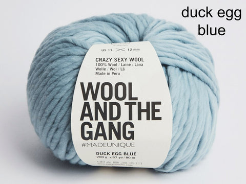 Wool and the Gang Crazy Sexy Wool