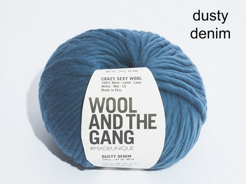 Wool and the Gang Crazy Sexy Wool