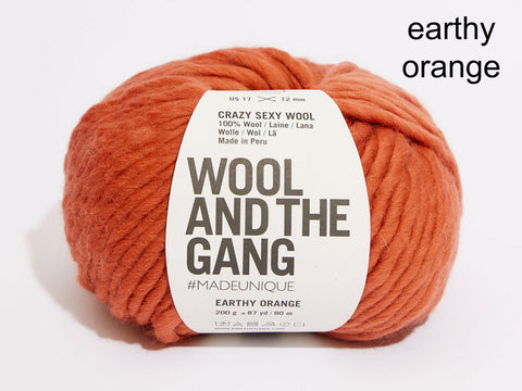 Wool and the Gang Crazy Sexy Wool