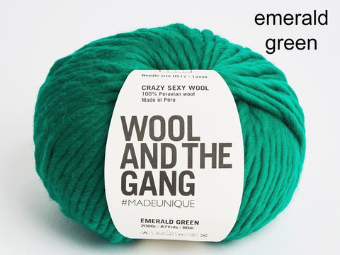 Wool and the Gang Crazy Sexy Wool
