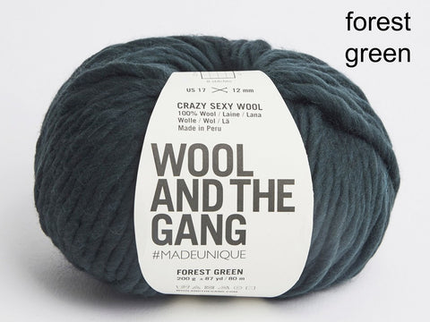 Wool and the Gang Crazy Sexy Wool