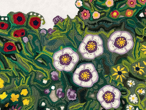 Freeform Crochet Class