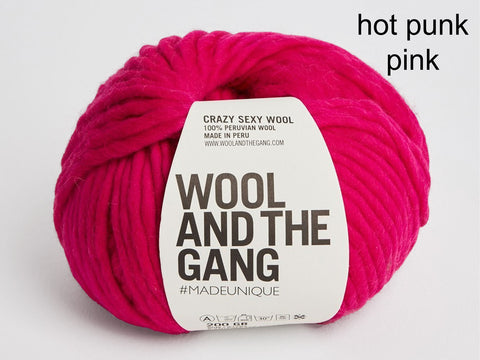 Wool and the Gang Crazy Sexy Wool