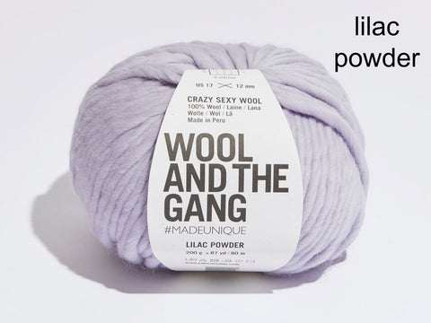 Wool and the Gang Crazy Sexy Wool