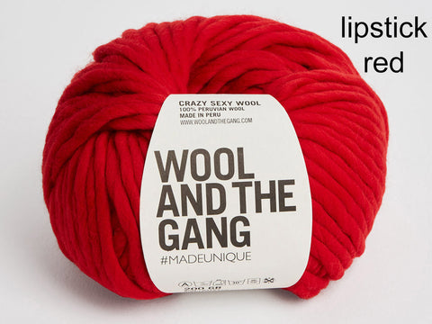 Wool and the Gang Crazy Sexy Wool
