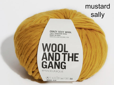Wool and the Gang Crazy Sexy Wool