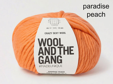 Wool and the Gang Crazy Sexy Wool