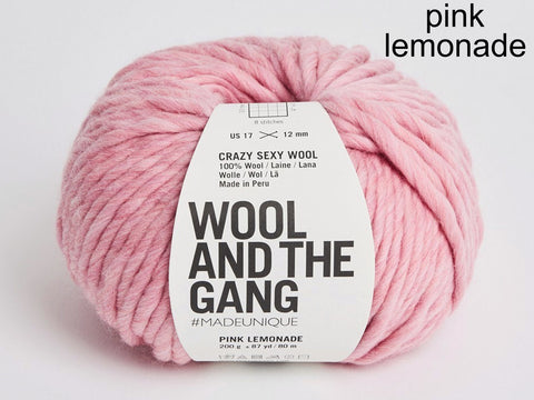 Wool and the Gang Crazy Sexy Wool