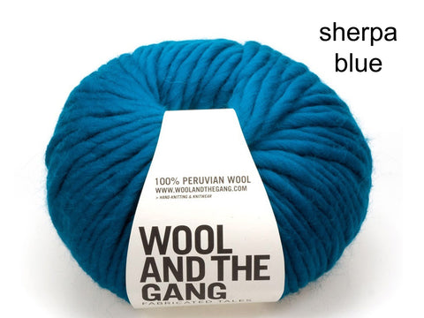 Wool and the Gang Crazy Sexy Wool