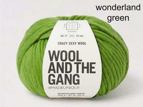 Wool and the Gang Crazy Sexy Wool