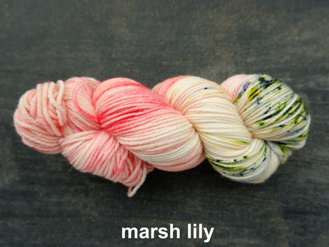 Lichen and Lace Merino  Worsted,  hand dyed yarn, made in Canada, marsh lily