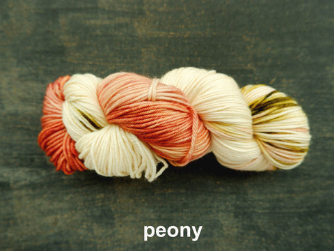Lichen and Lace Merino  Worsted,  hand dyed yarn, made in Canada, peony