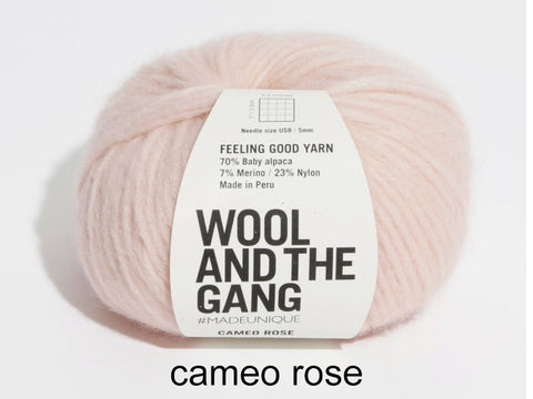 Feeling Good Yarn from Wool and the Gang