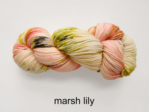Lichen and Lace Merino  Worsted,  hand dyed yarn, made in Canada