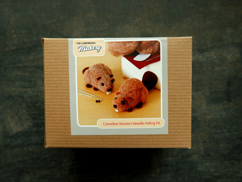Needle Felting Kit