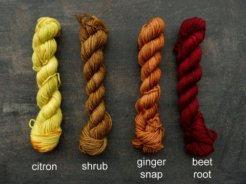 Lichen and Lace  sock weight yarn comes in mini skeins. They are available at the Knit Cafe in Toronto 